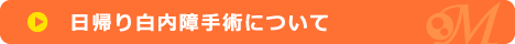 サンプル